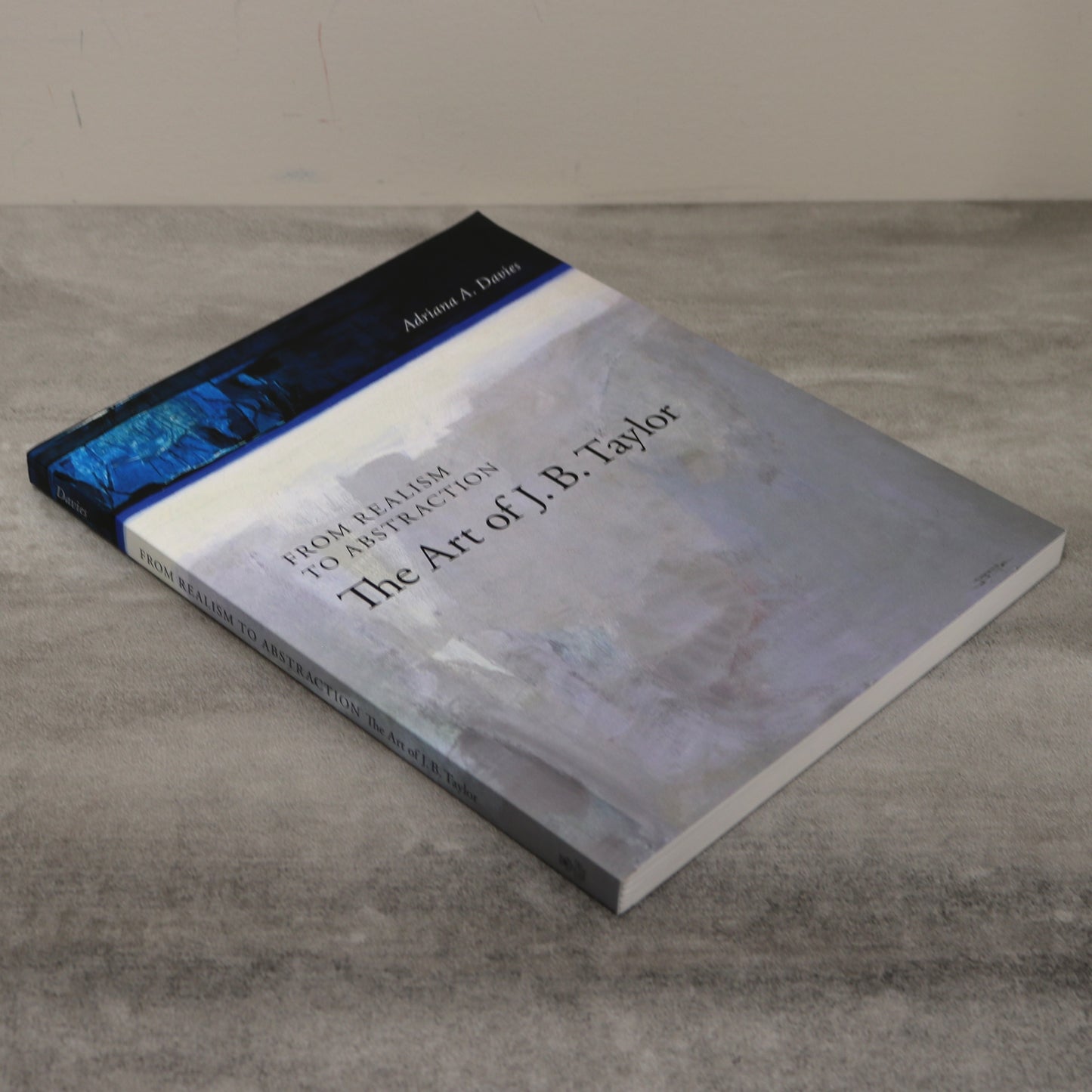 J.B. Taylor Realism to Abstraction Canadian Artist Painter Paintings Art Used Book