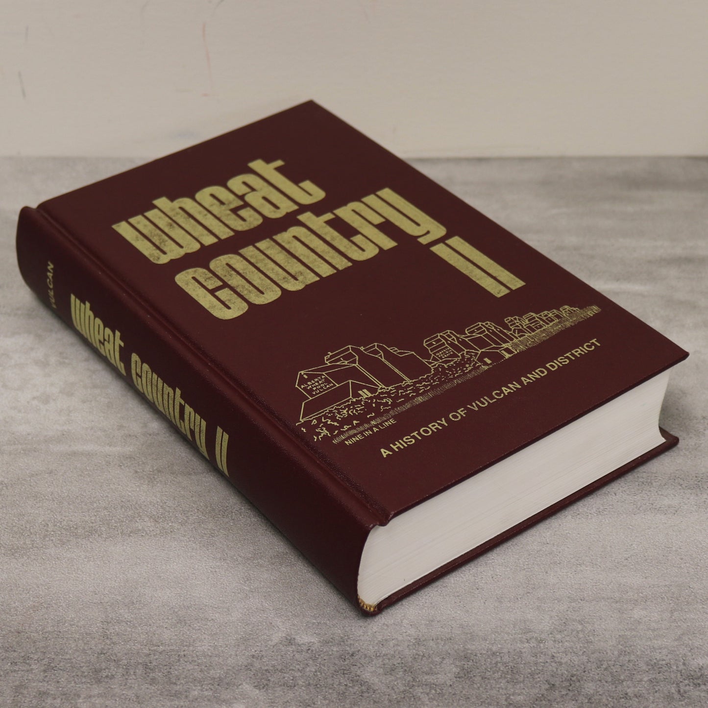 Wheat Country II 2 Vulcan Alberta Canada Canadian Community History Used Book