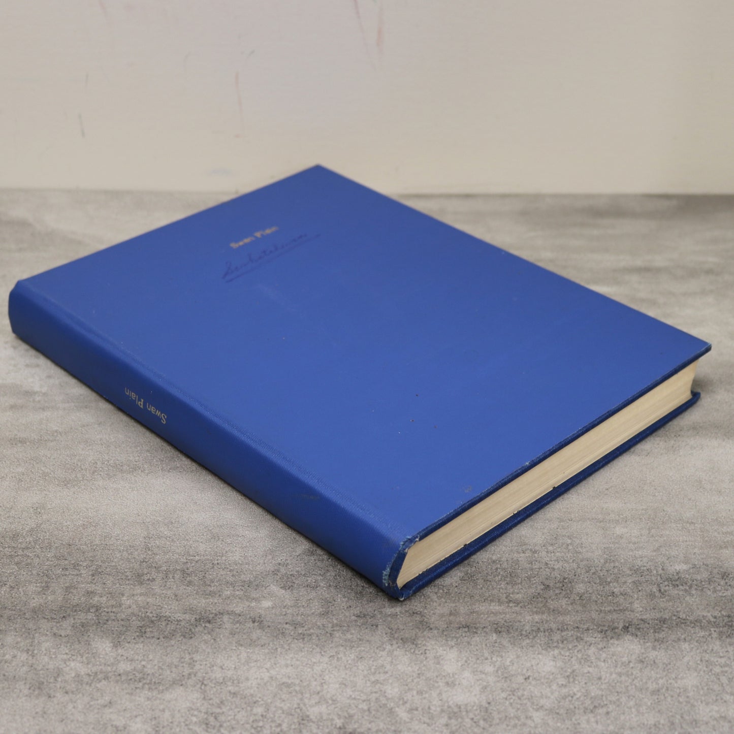 Swan Plain Saskatchewan Canada Canadian Community Sask History Book