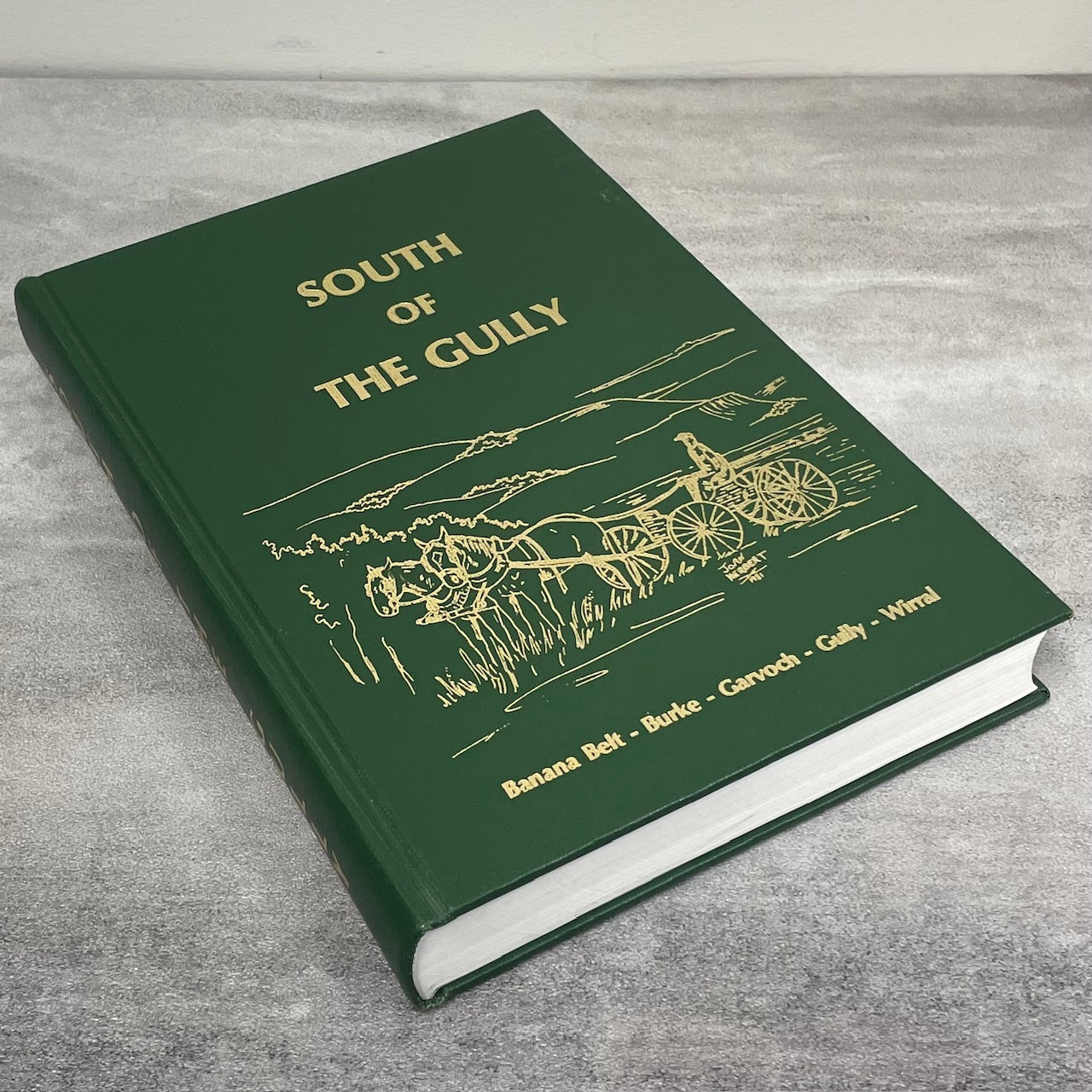 South of the Gully Lashburn Lloydminster Saskatchewan History Canada Used Book