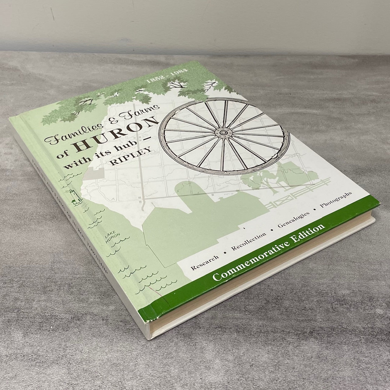 Families Farms Huron Township Ripley Ontario History Canada Canadian Used Book