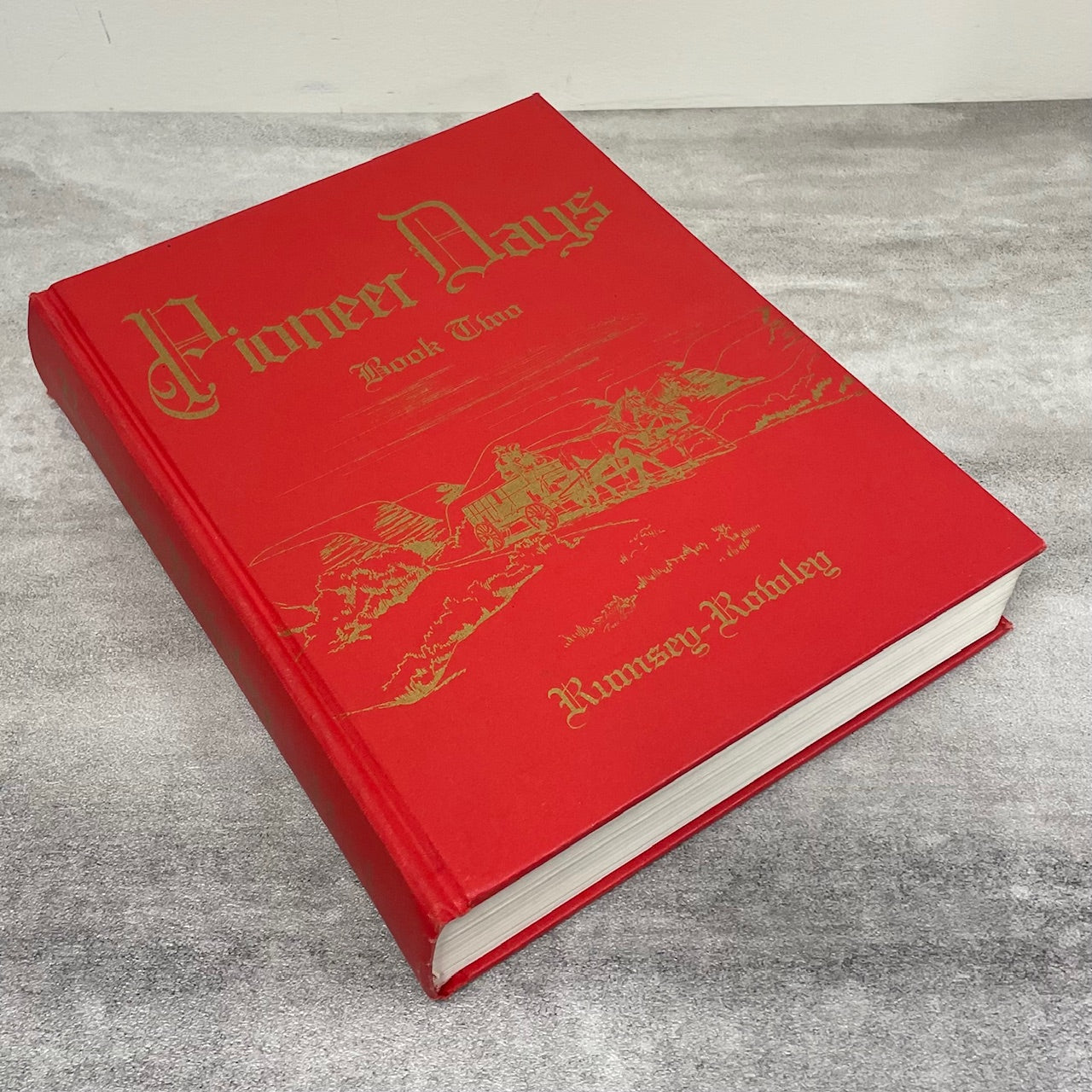 Pioneer Days Rumsey Rowley Vol. 2 Alberta Canada Canadian Local History Book