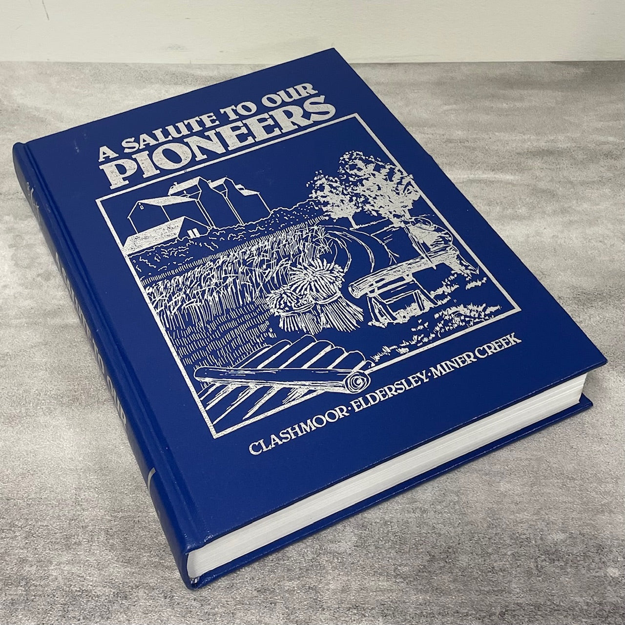 A Salute to Our Pioneers Clashmoor Eldersley Tisdale Saskatchewan History Used Book