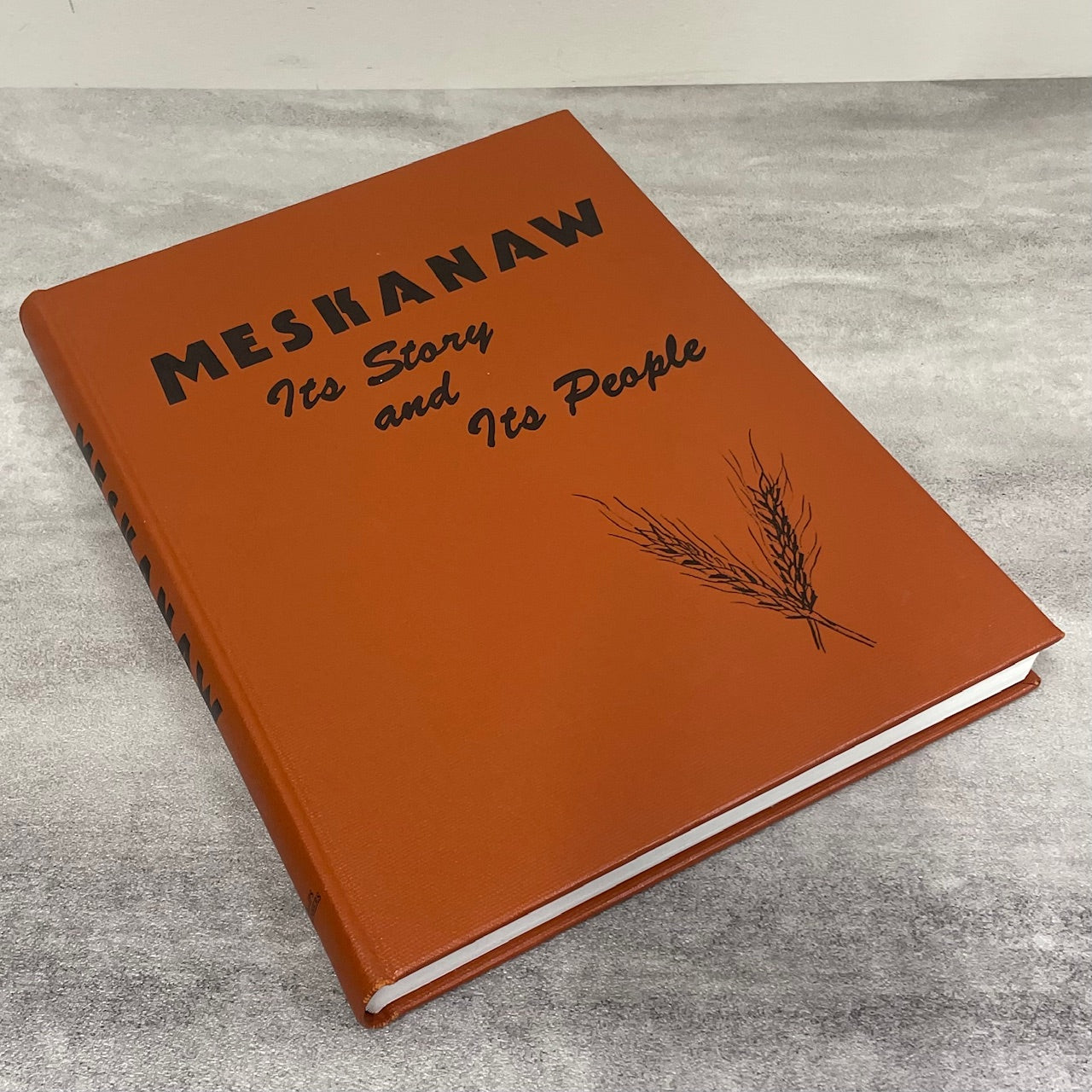 Meskanaw Story People Saskatchewan History Canada Melfort Canadian Used Book