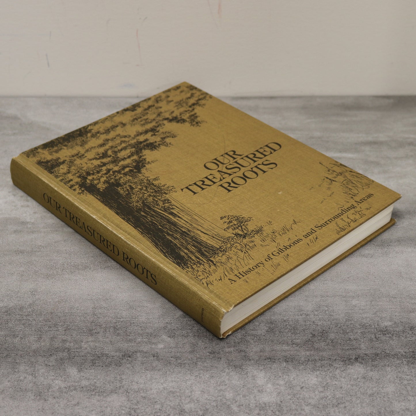 Our Treasured Roots Gibbons Alberta Canada Canadian Local History Used Book