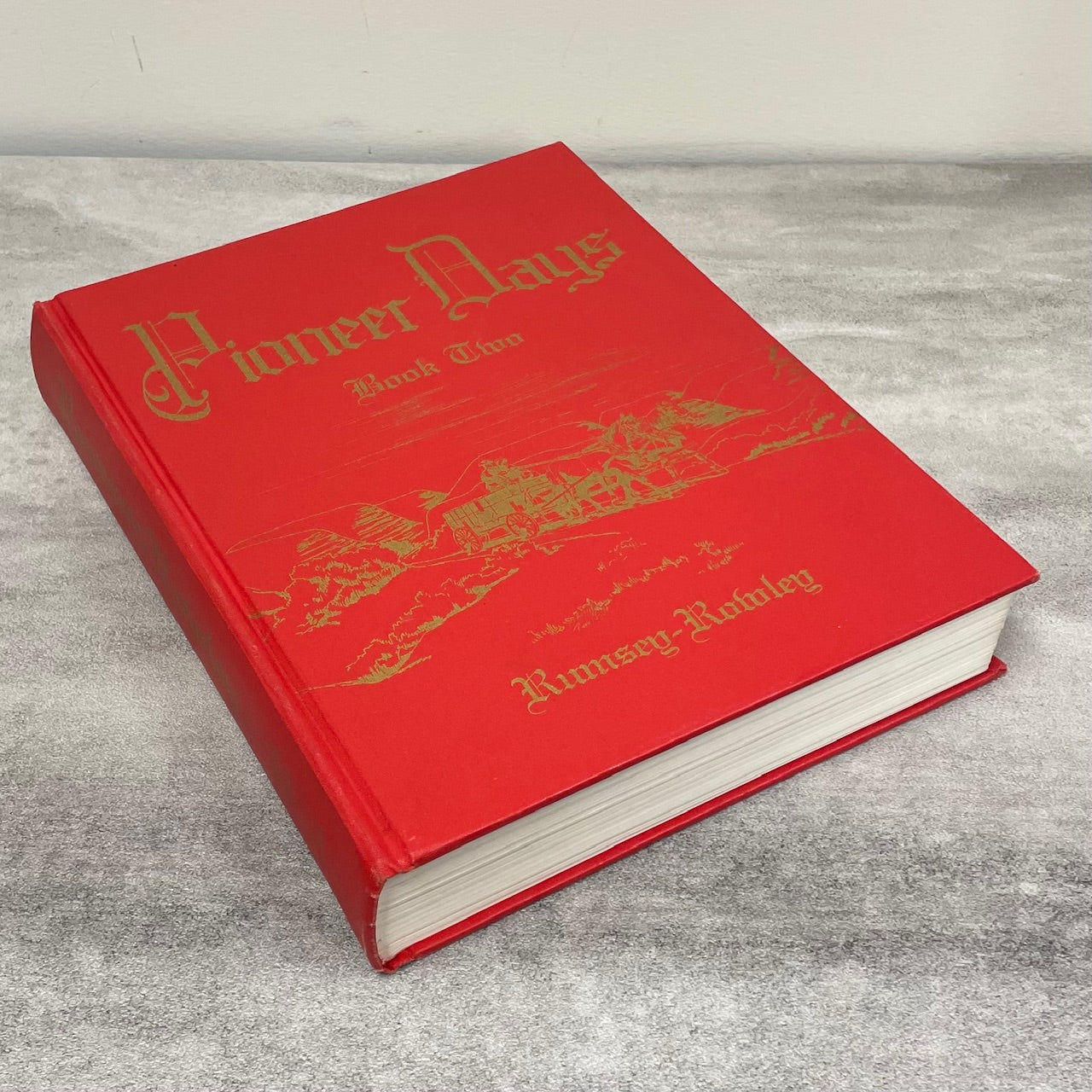 Pioneer Days Rumsey Rowley Vol. 2 Alberta Canada Canadian Local History Book