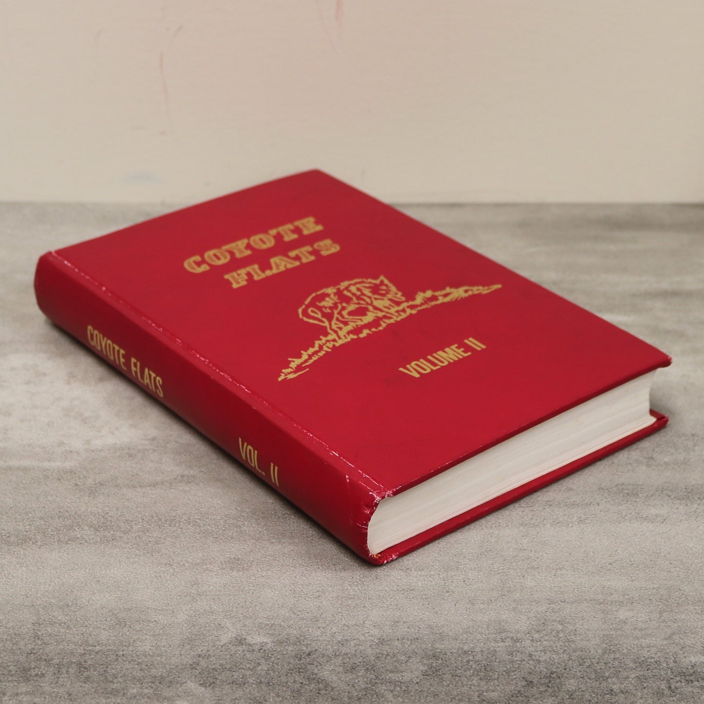 Coyote Flats Vol 2 Lethbridge Shaughnessy Turin Alberta Canada Local History Book