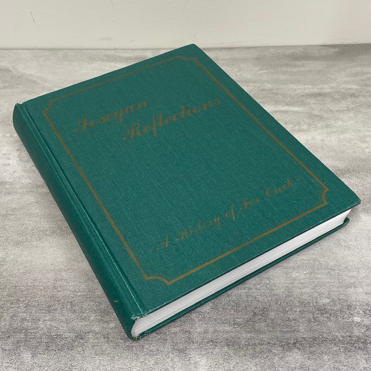 Iosegun Reflections Fox Creek Alberta Canada Canadian Community History Book