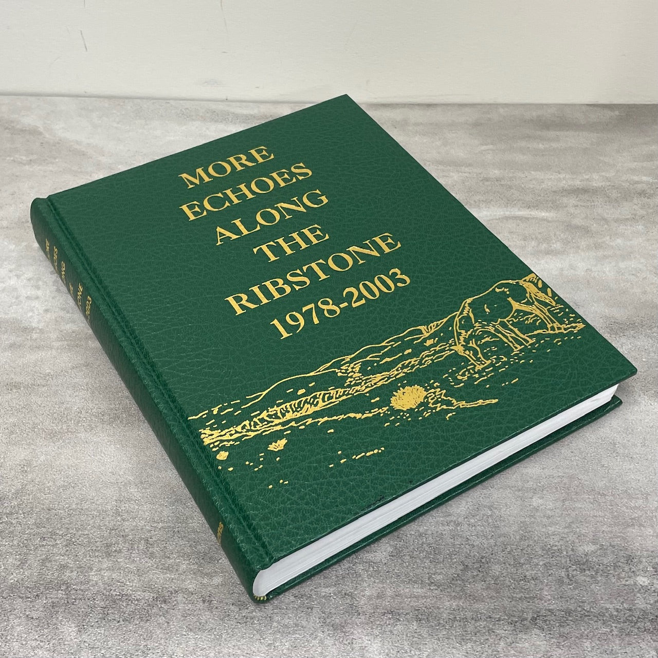 More Echoes Along Ribstone Czar Alberta History Canada Canadian Used Book