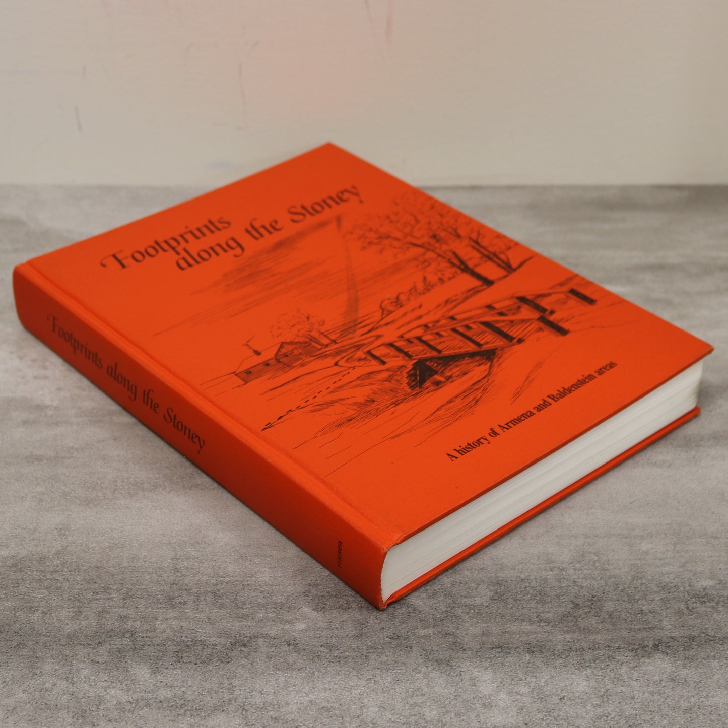 Footprints Along Stoney Armena Baldenstein Alberta Canada Camrose History Used Book