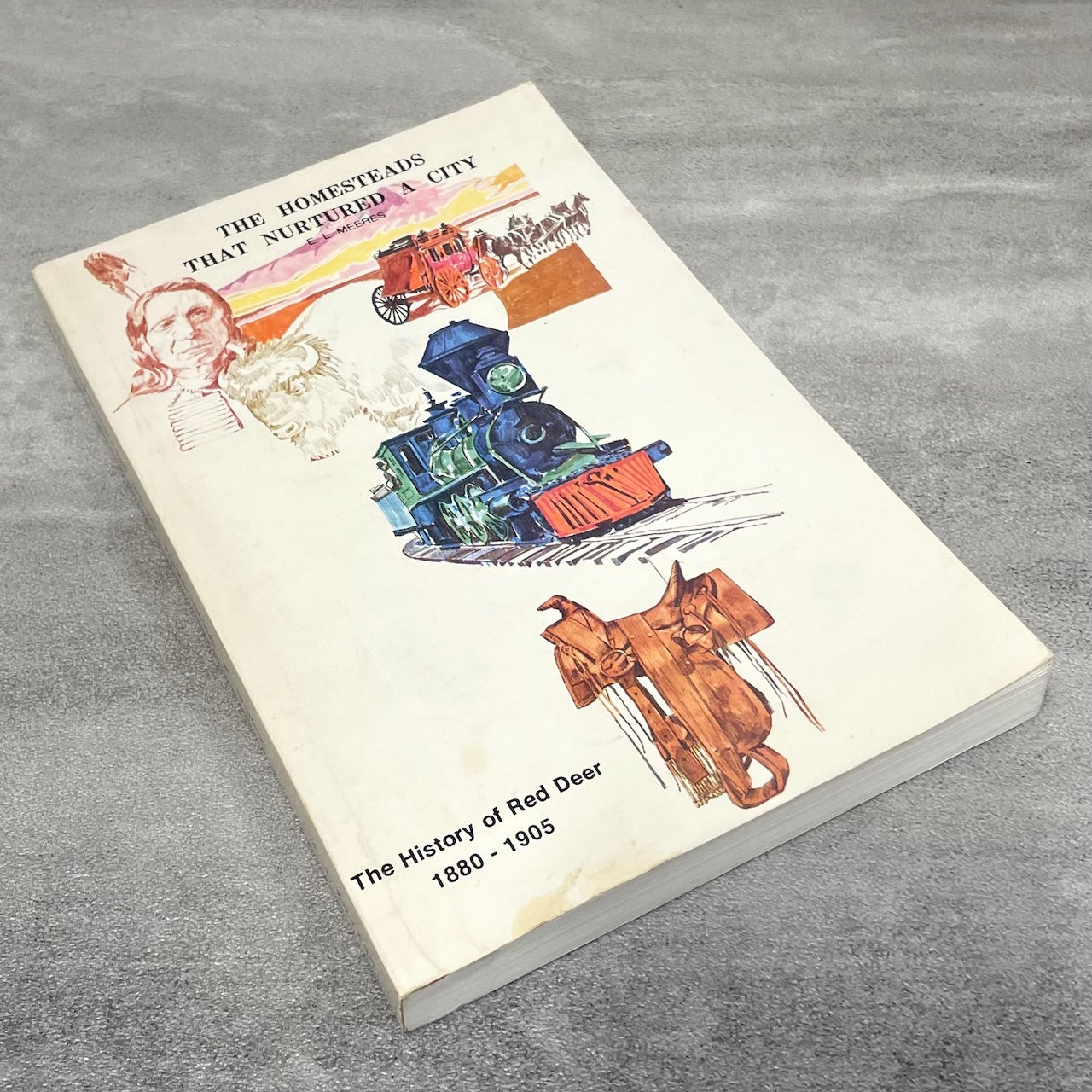 Homesteads Nurtured a City Red Deer Alberta Canada Canadian Local History Book