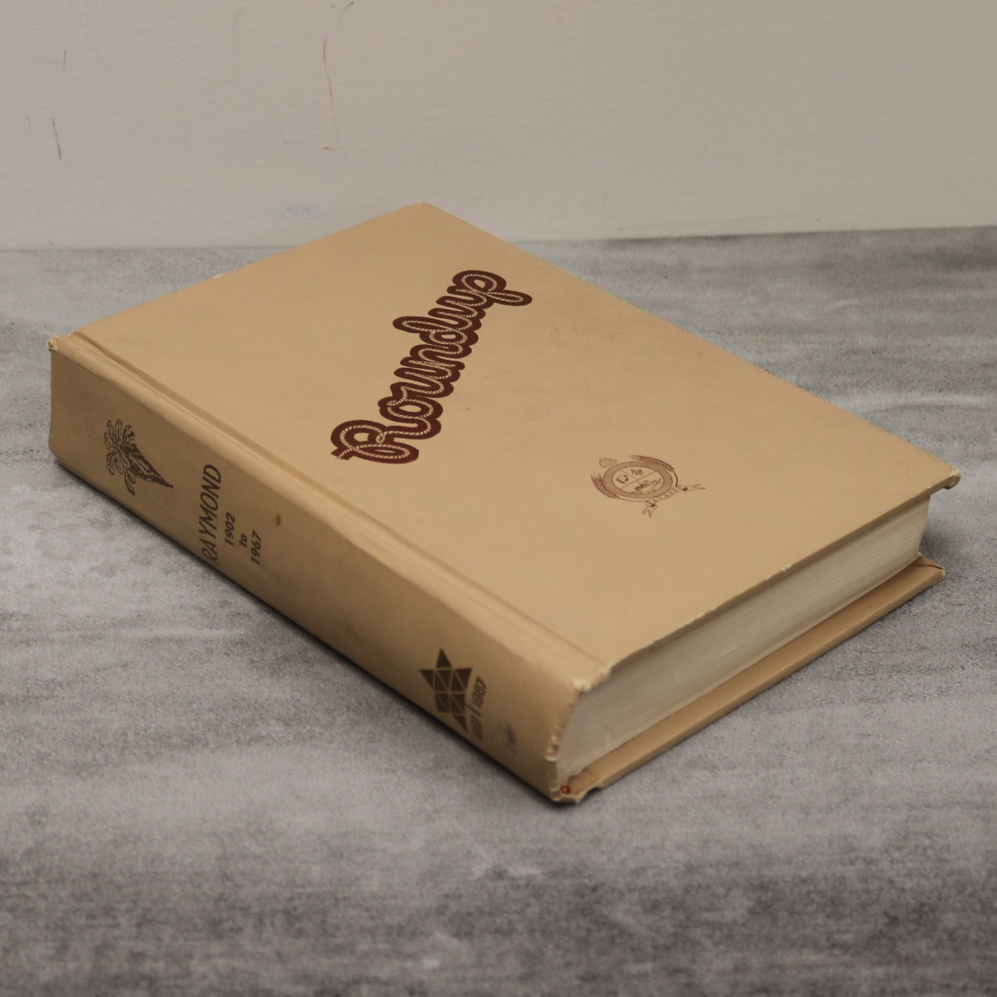 Roundup Raymond Alberta Canada Canadian Community Local History Used Book