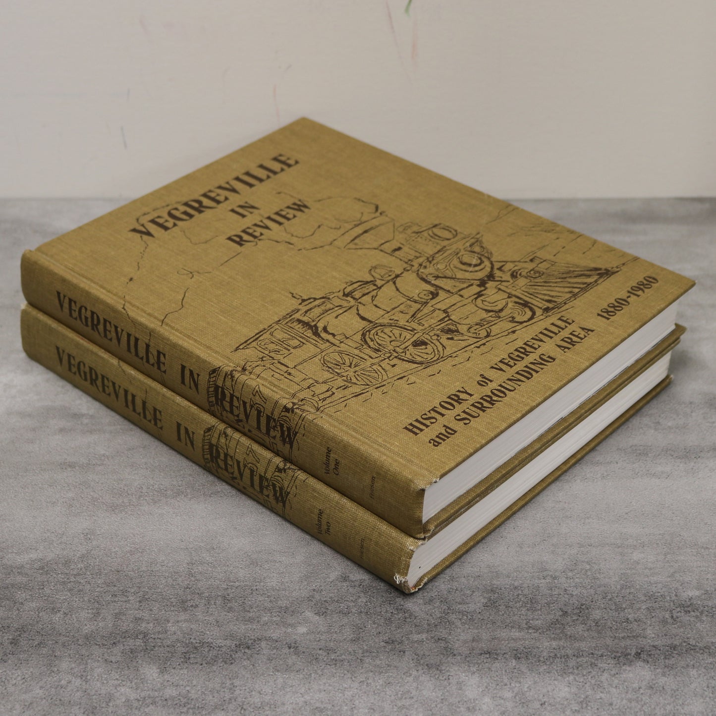 Vegreville in Review 2 Vols Alberta Canada Canadian Community History Used Book