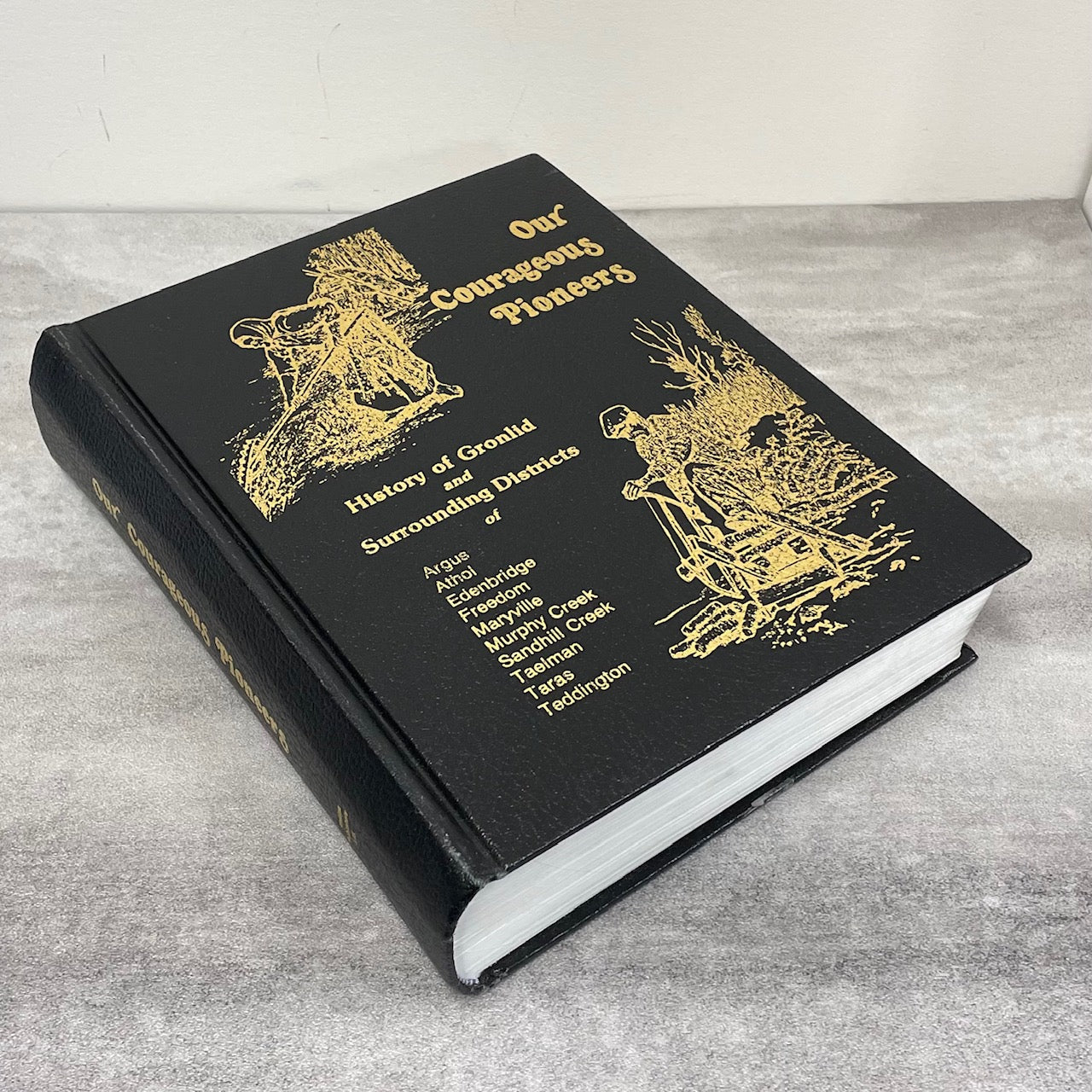 Our Courageous Pioneers Gronlid Saskatchewan Canada History Used Book