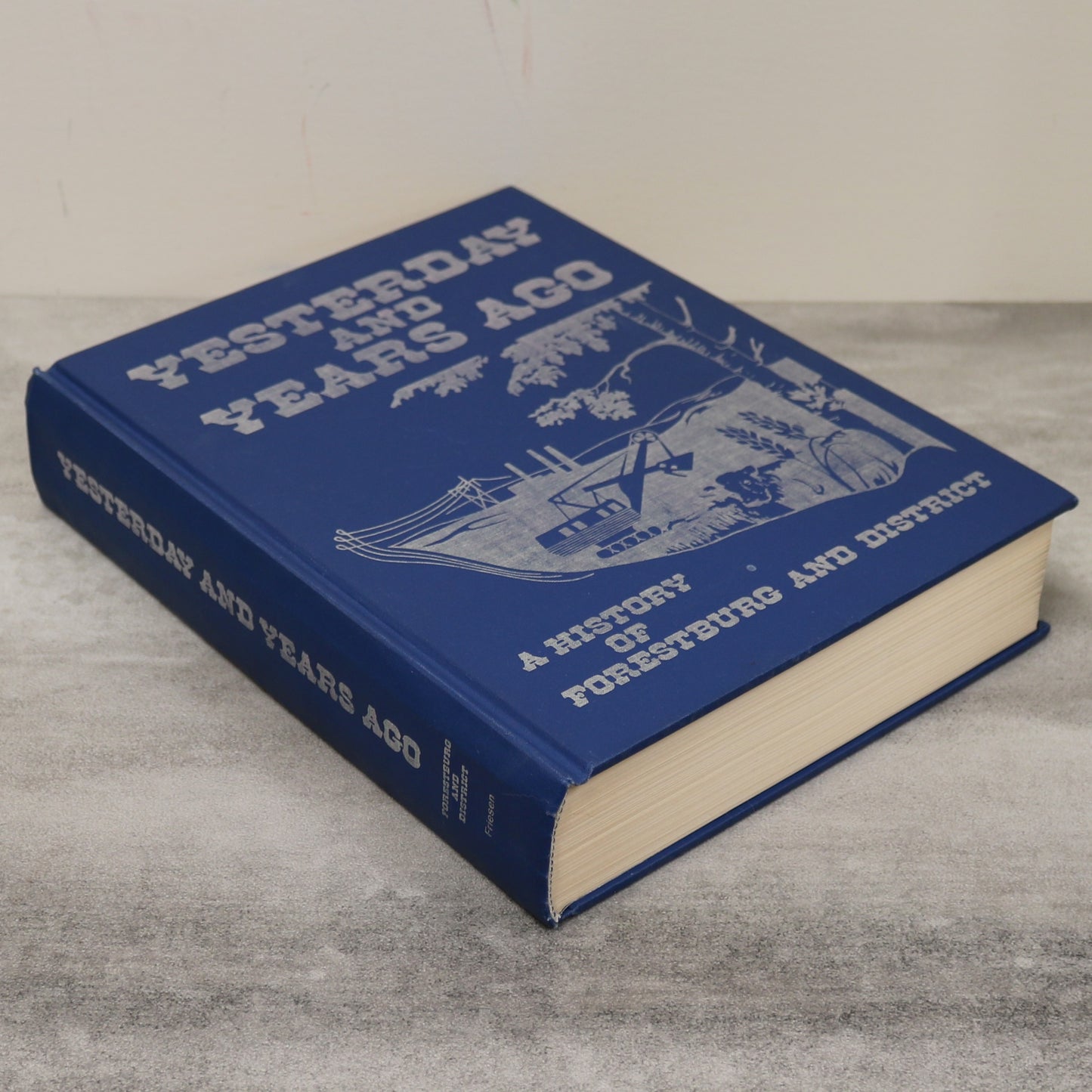 Yesterday and Years Ago Forestburg Alberta Canada Community History Used Book