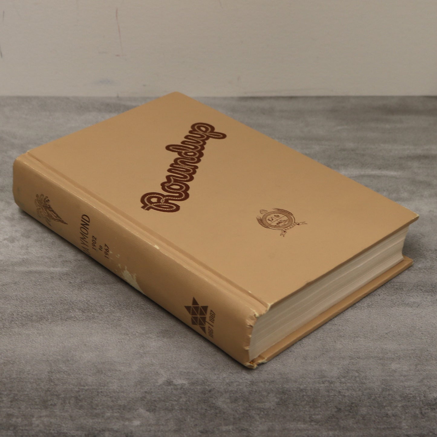 Roundup Raymond Alberta Canada Canadian Community Local History Used Book