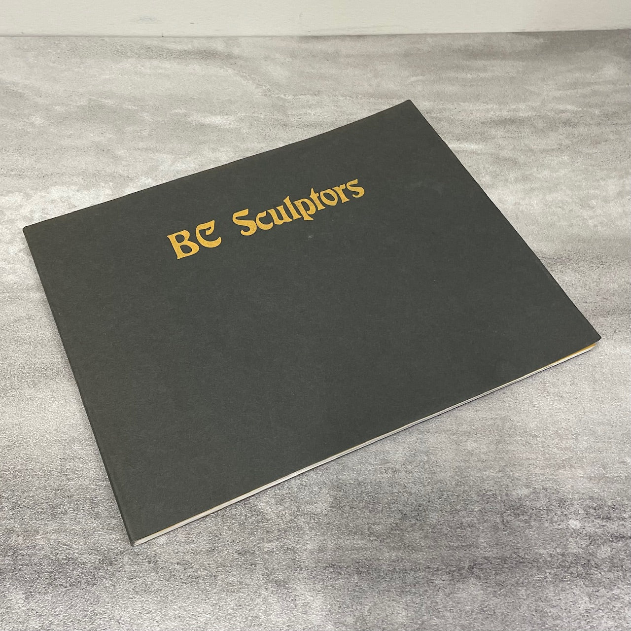 BC Sculptors Sculpture Art Artist British Columbia Canada Canadian Used Book
