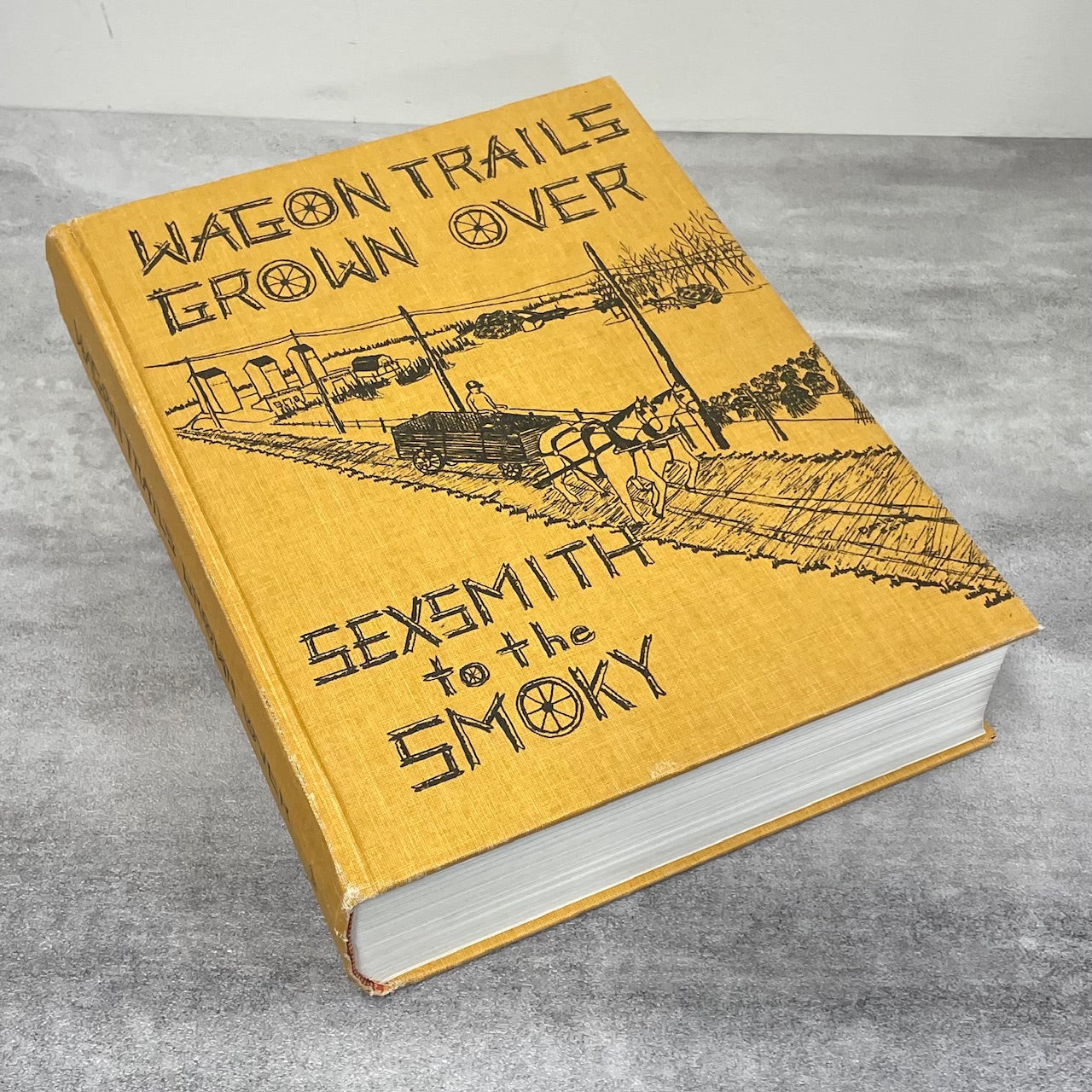 Wagon Trails Grown Over Sexsmith Smoky Alberta Canada Canadian History Book