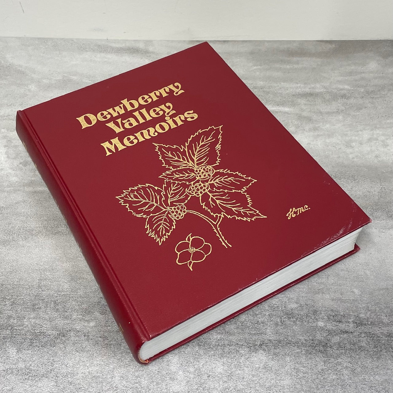 Dewberry Valley Hazeldine Memoirs Alberta Canada Canadian History Used Book