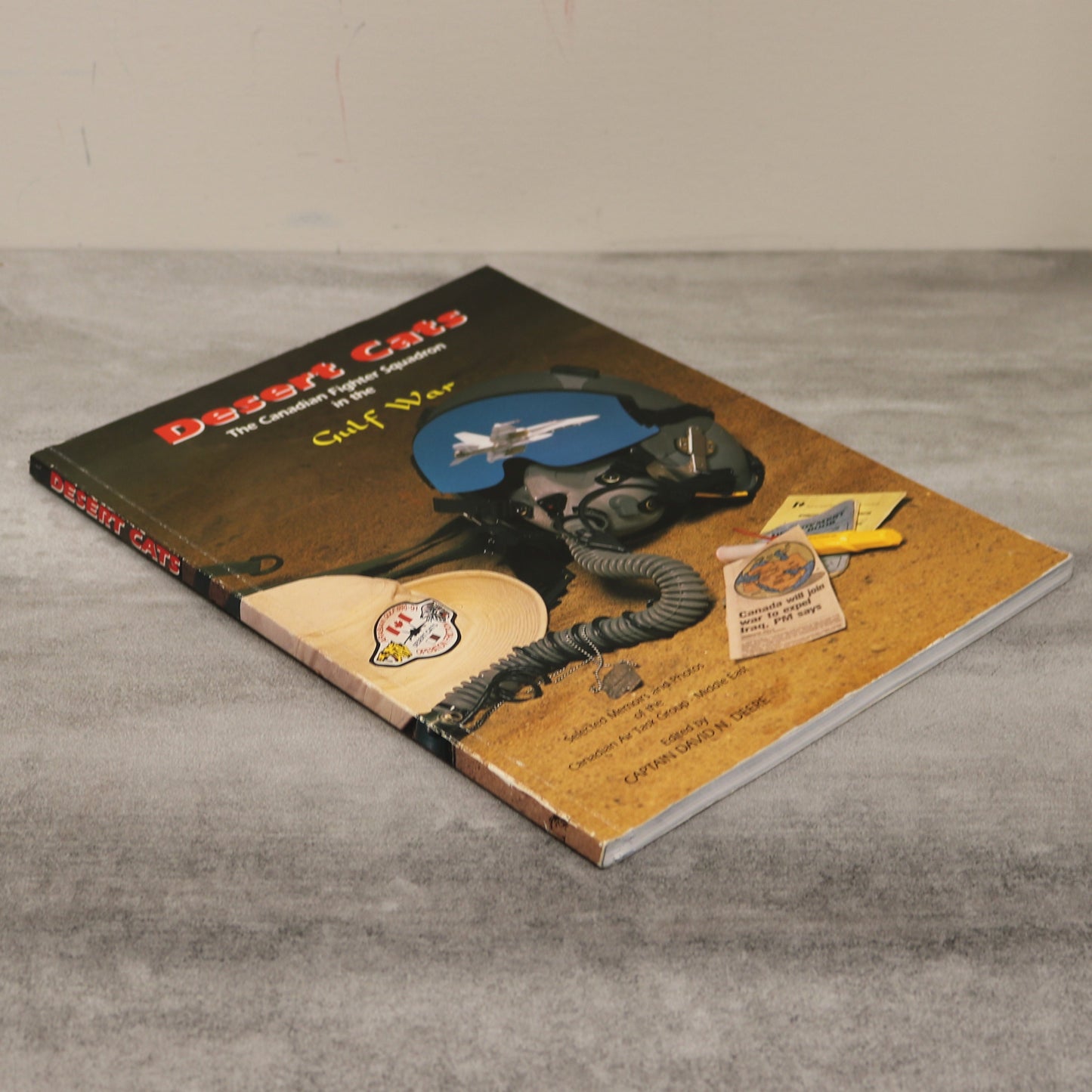 Desert Cats Canada Canadian Fighter RCAF Gulf War Air Force Aviation Military Book