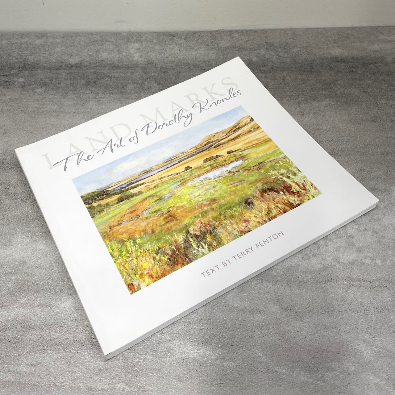 Dorothy Knowles Land Marks Painting Painter Canada Artist Art Used Book