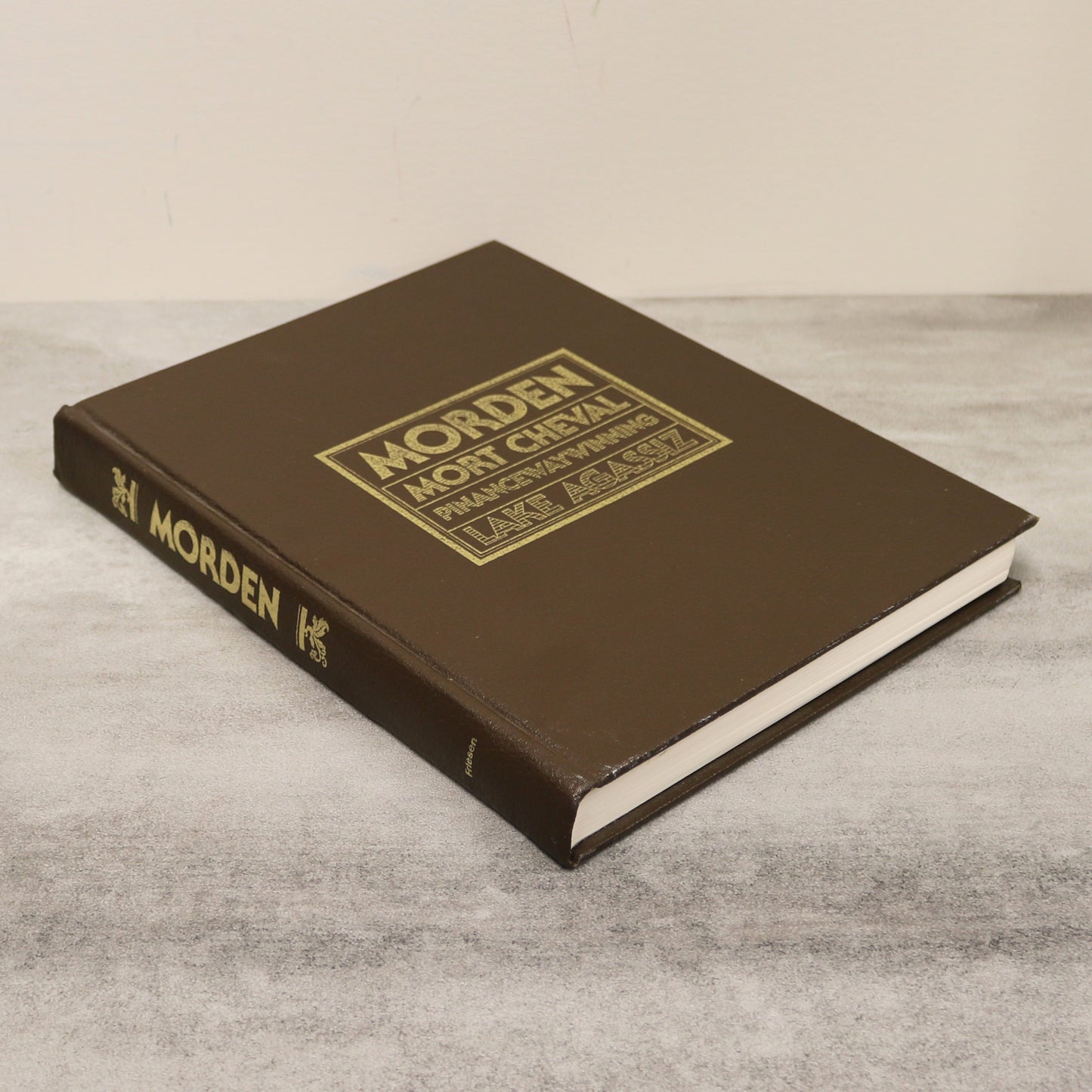 Morden Lake Agassiz Manitoba Canada Canadian Local Pictorial History Used Book