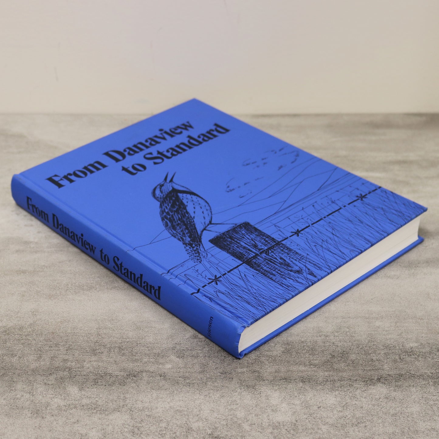 From Danaview to Standard Alberta Canada Canadian Community History Used Book