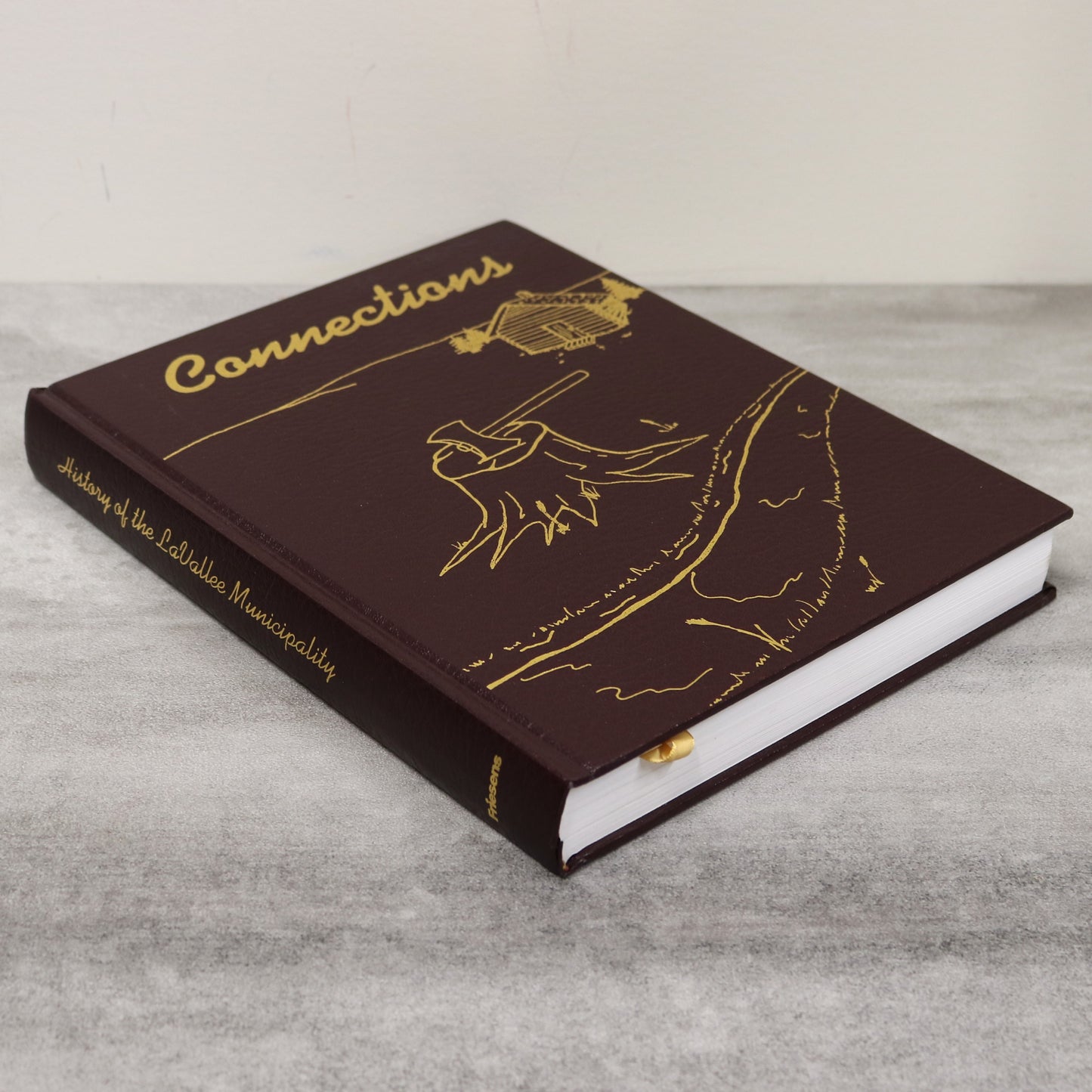 Connections LaVallee Ontario Devlin Big Fork Canada Canadian History Used Book