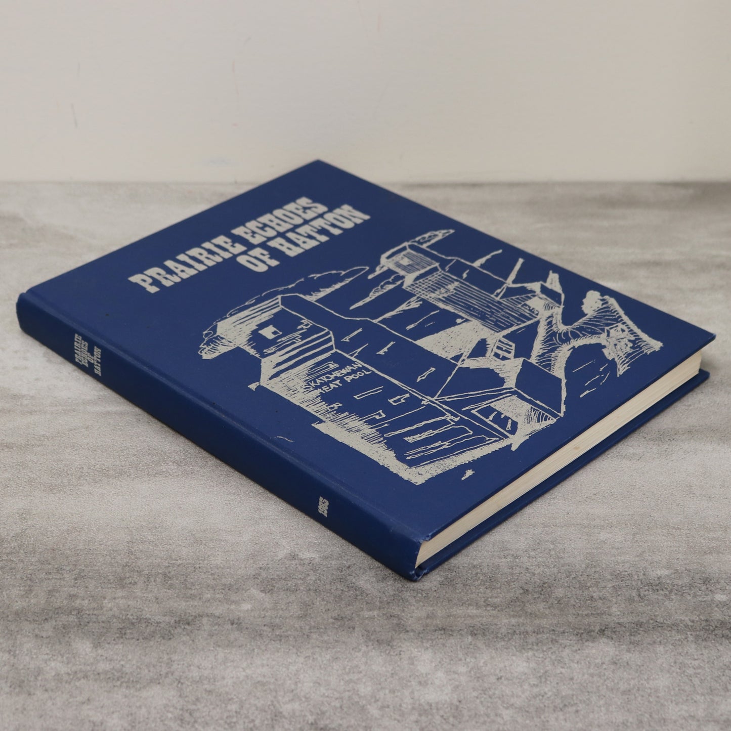 Prairie Echoes of Hatton Saskatchewan Canada Canadian Local History Used Book