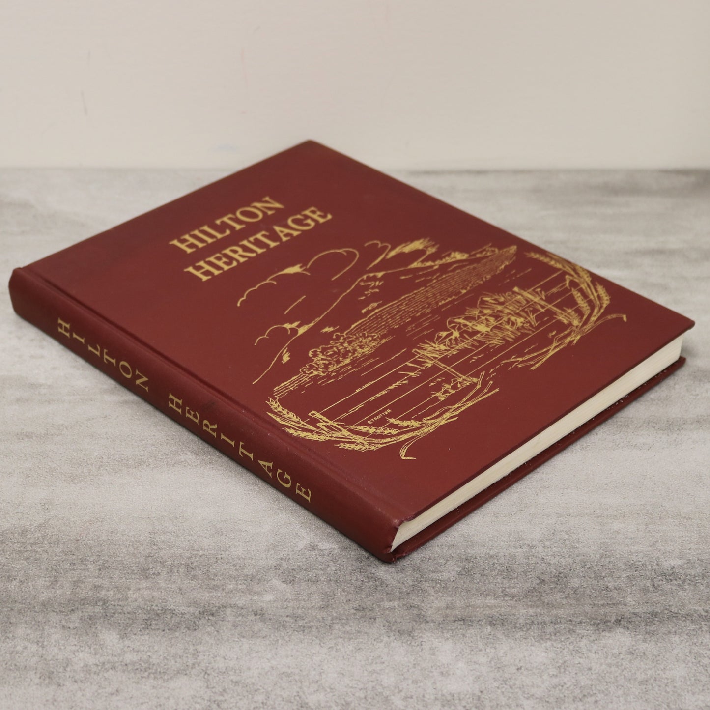 Hilton Heritage Manitoba Canada Canadian History Community Local Used Book