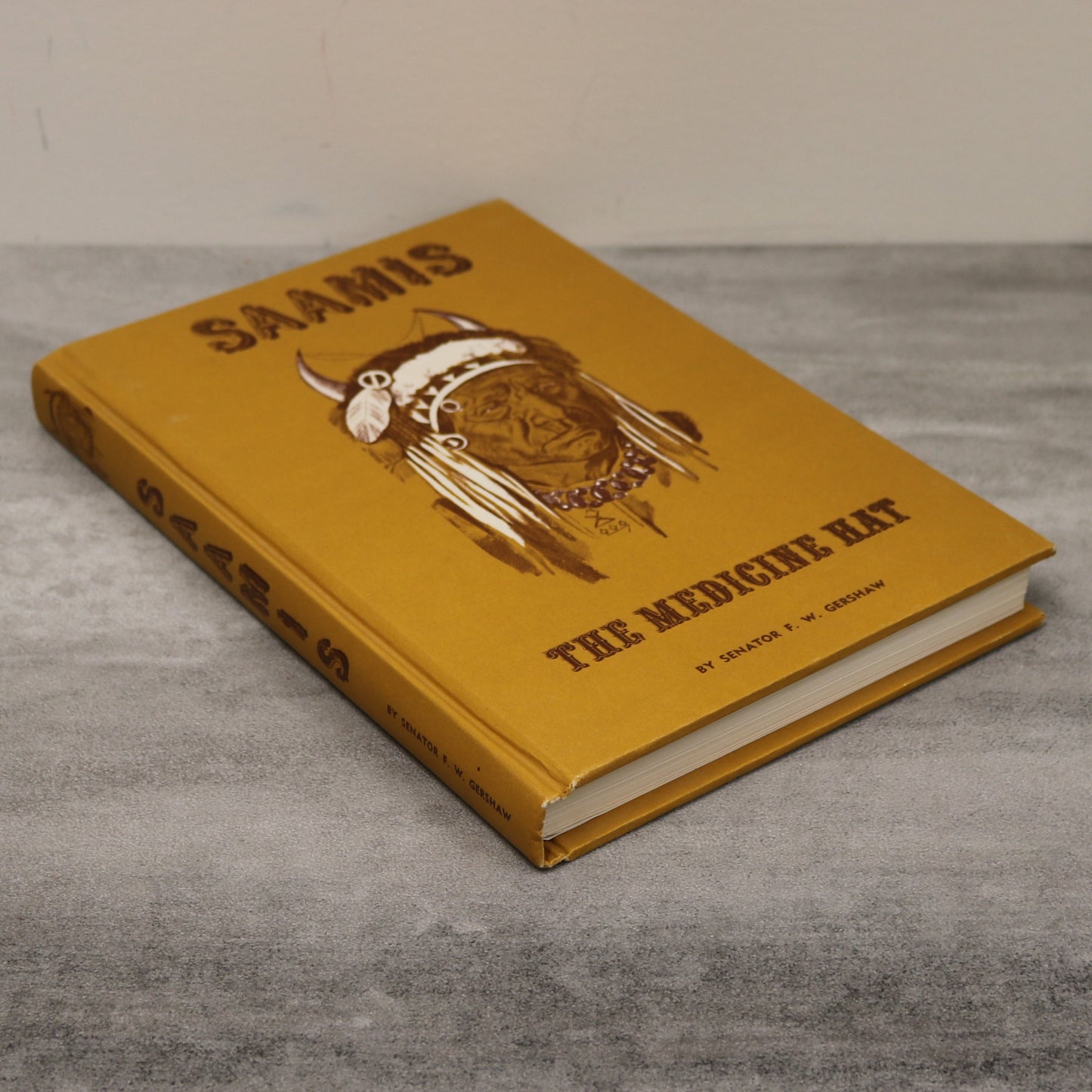 Saamis Medicine Hat Cyprus Hills Alberta Canada Canadian Community History Book