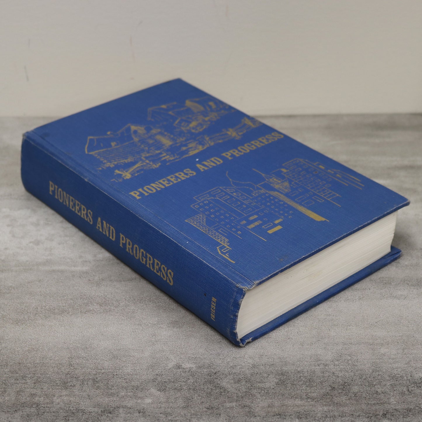 Pioneers and Progress Alix Clive Mirror Alberta Canada Canadian Local History Book