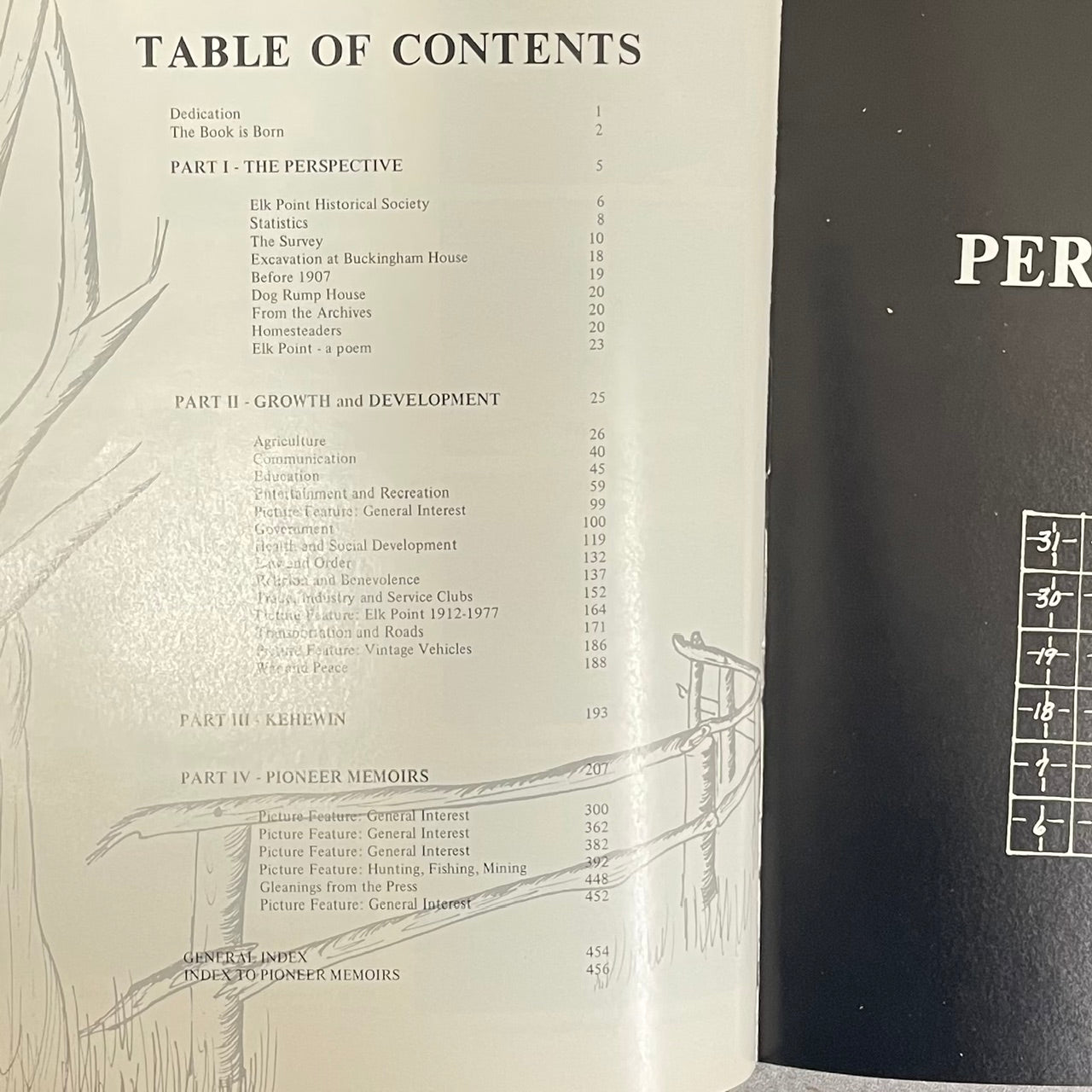 Reflections Elk Point Kehewin Alberta Canada Canadian Local History Used Book