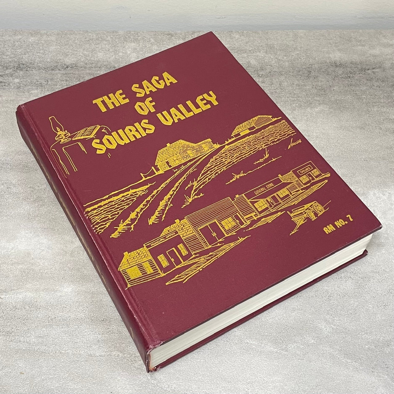 Saga of Souris Valley Saskatchewan Canada Canadian Local History Used Book