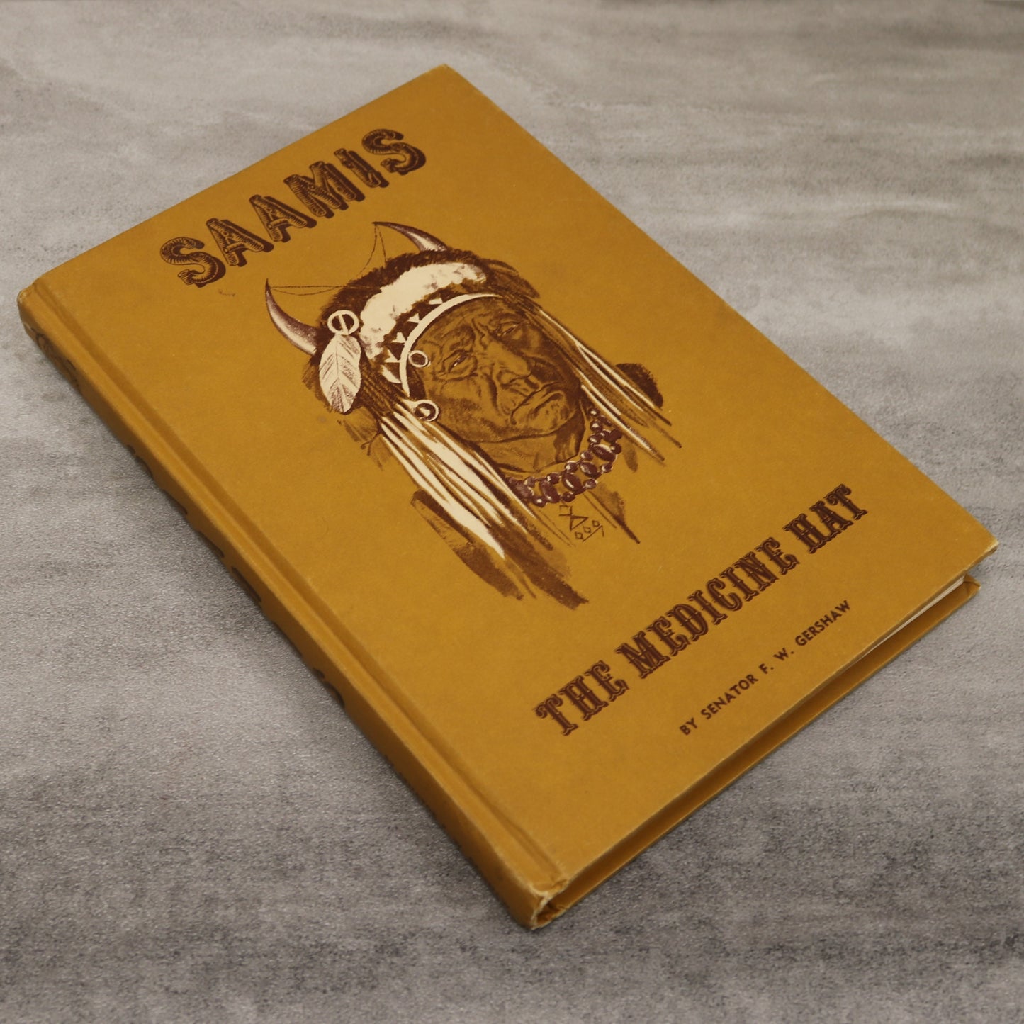 Saamis Medicine Hat Cyprus Hills Alberta Canada Canadian Local History Book