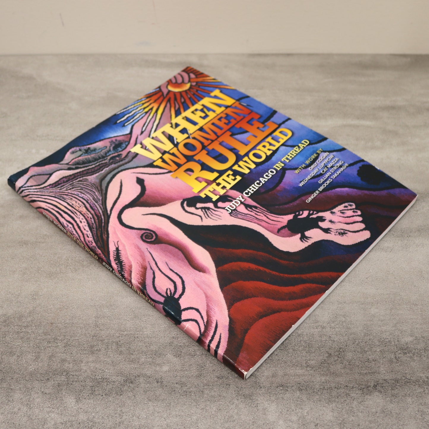 When Women Rule World Judy Chicago Art Artist Needlework Textile Book