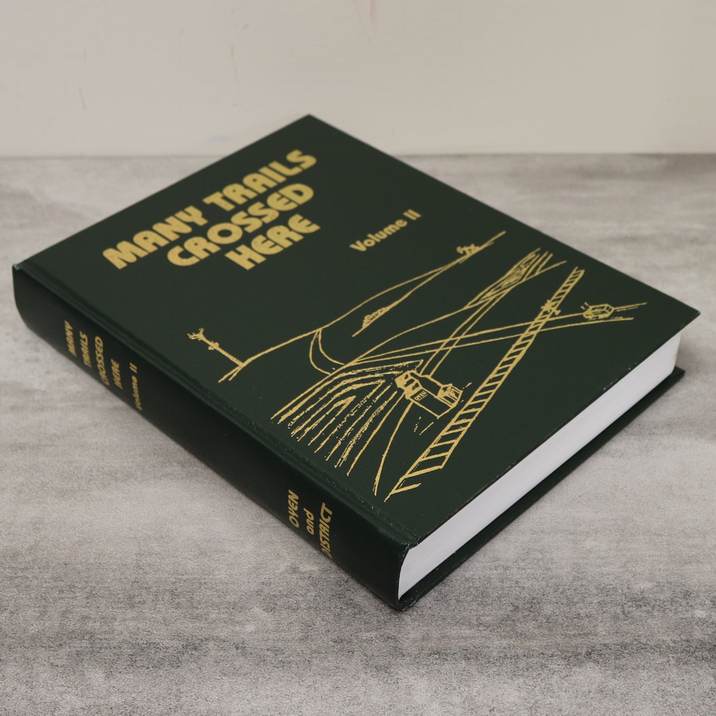 Many Trails Crossed Here Volume II Oyen Alberta Canada Canadian History Book