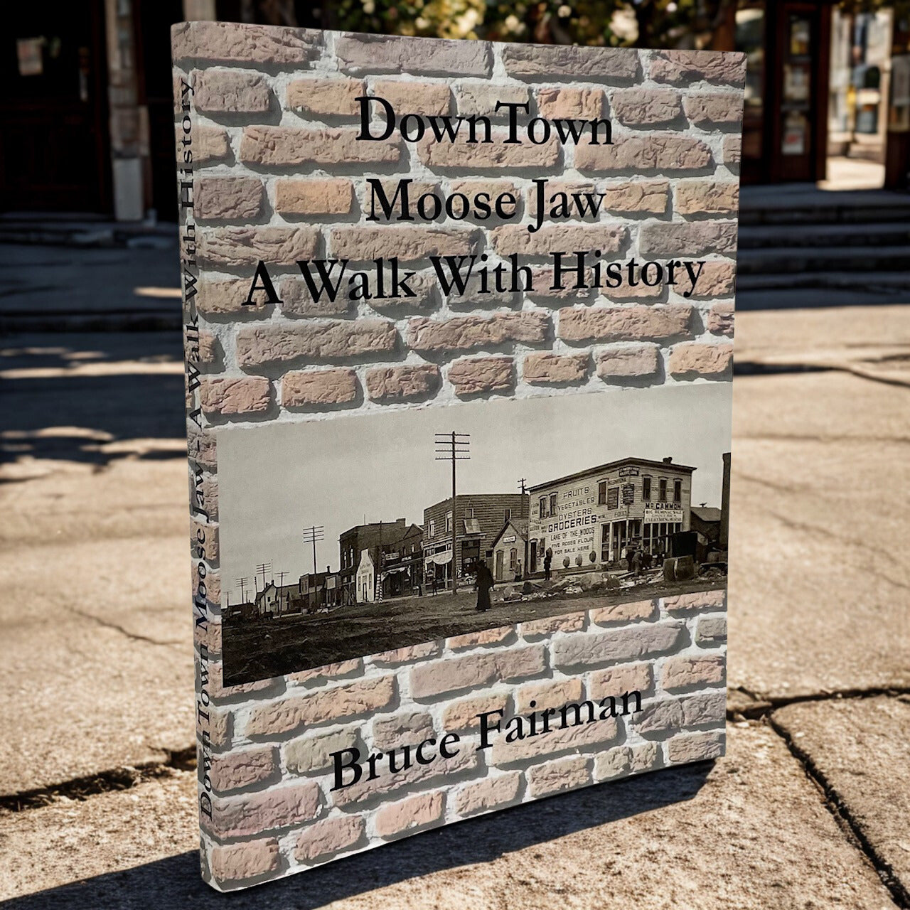 Downtown Moose Jaw History Saskatchewan Canada Canadian Used Book