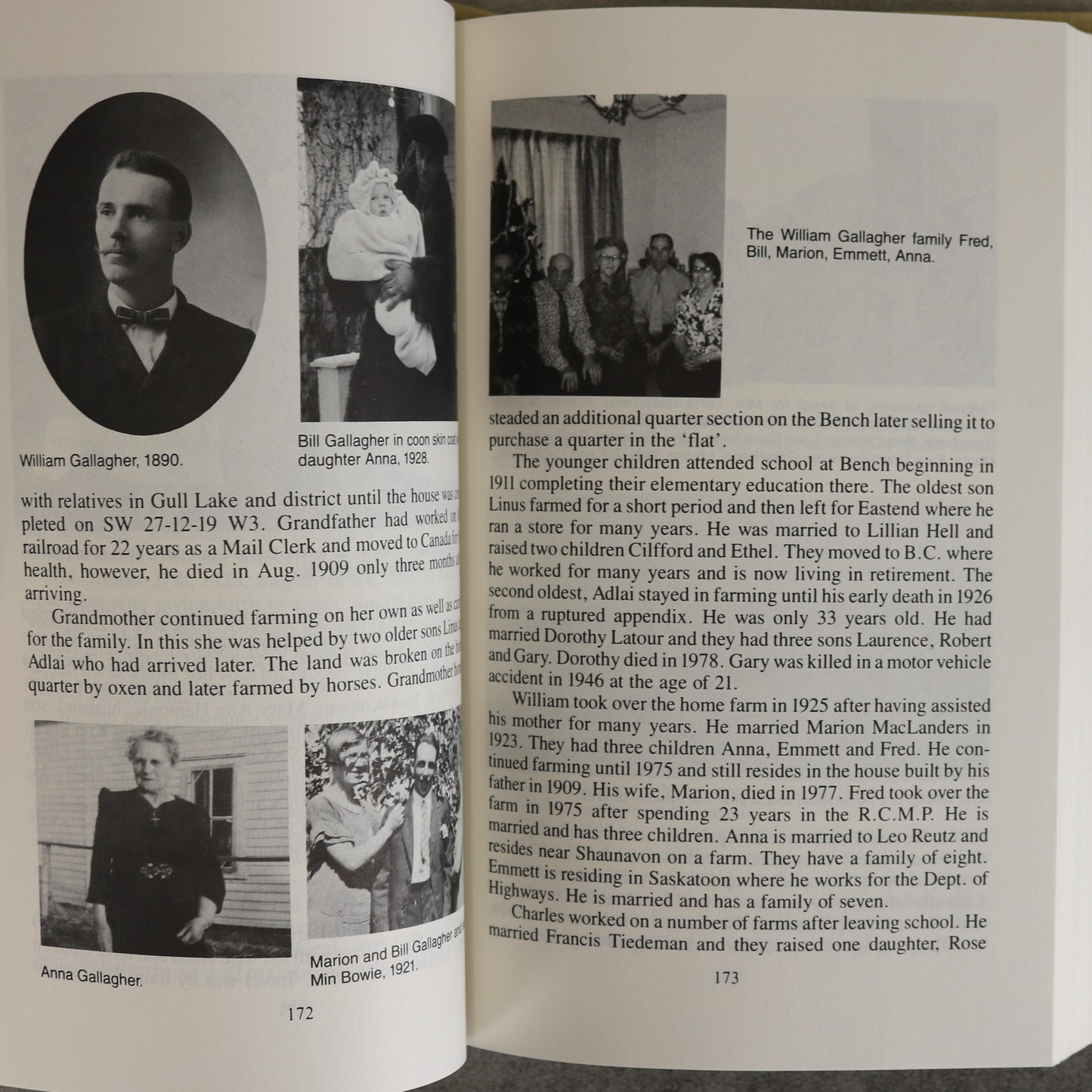 Rippling Memories Aldag Bench Saskatchewan Local History Used Book