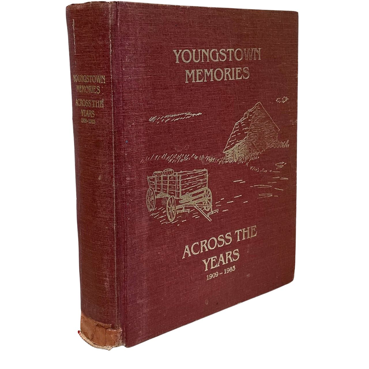 Youngstown Memories Alberta Canada Canadian Local History Used Book