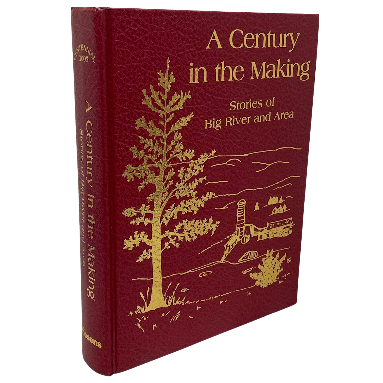 Century Making Big River Saskatchewan Canada Canadian Local History Used Book