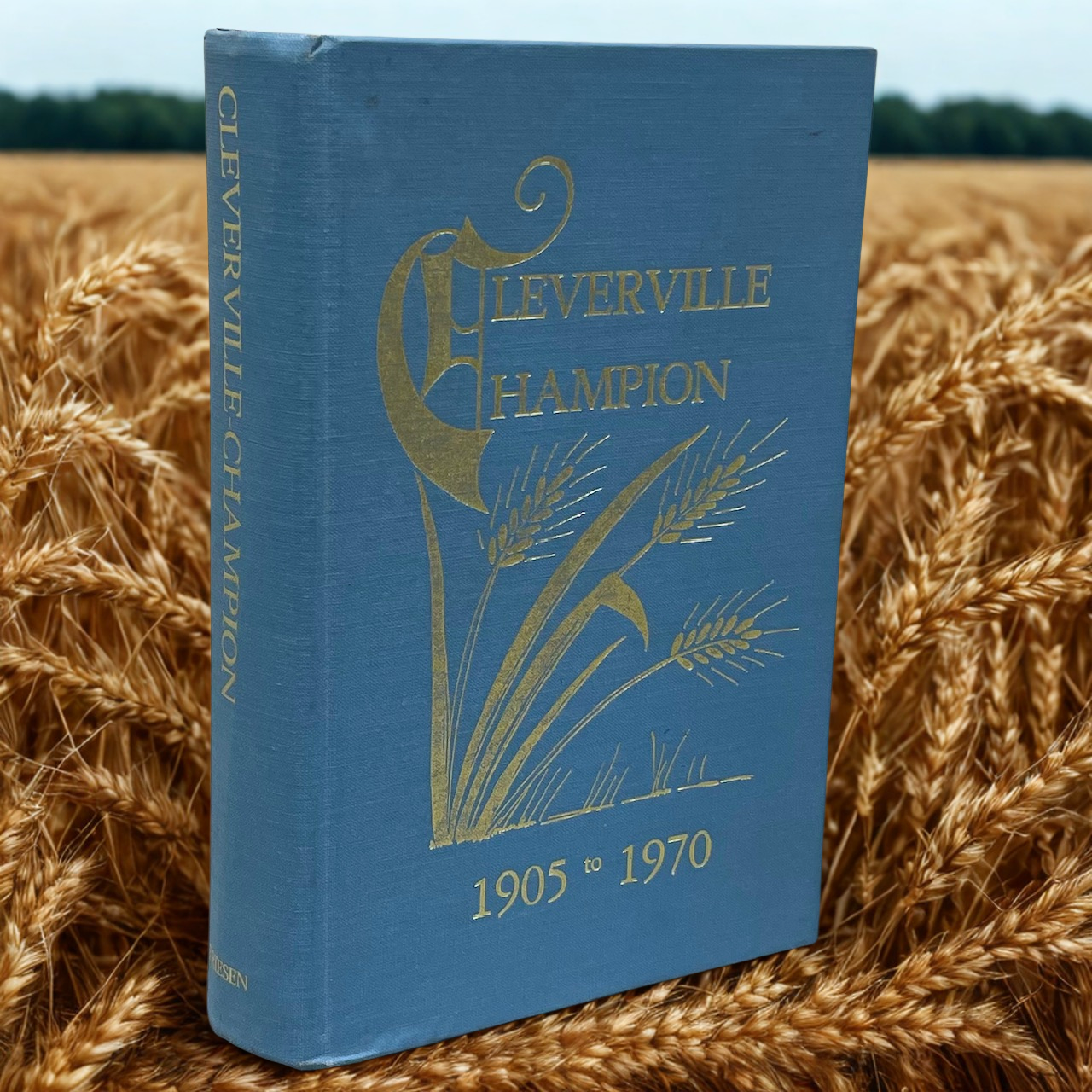 Cleverville Champion Alberta Canada Canadian Local History Book