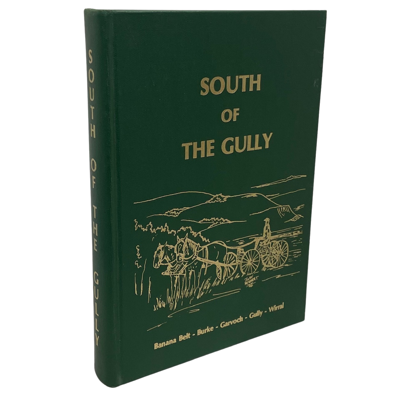 South of the Gully Lashburn Lloydminster Saskatchewan History Canada Used Book