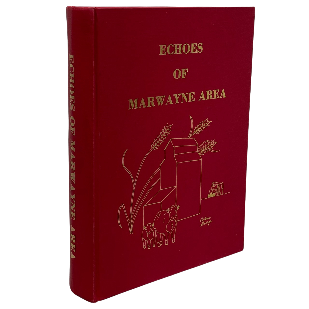 Echoes of Marwayne Alberta Canada Canadian Community History Used Book