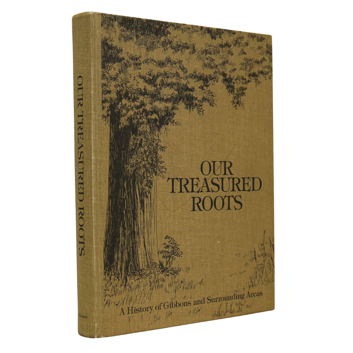 Our Treasured Roots Gibbons Alberta Canada Canadian Local History Used Book