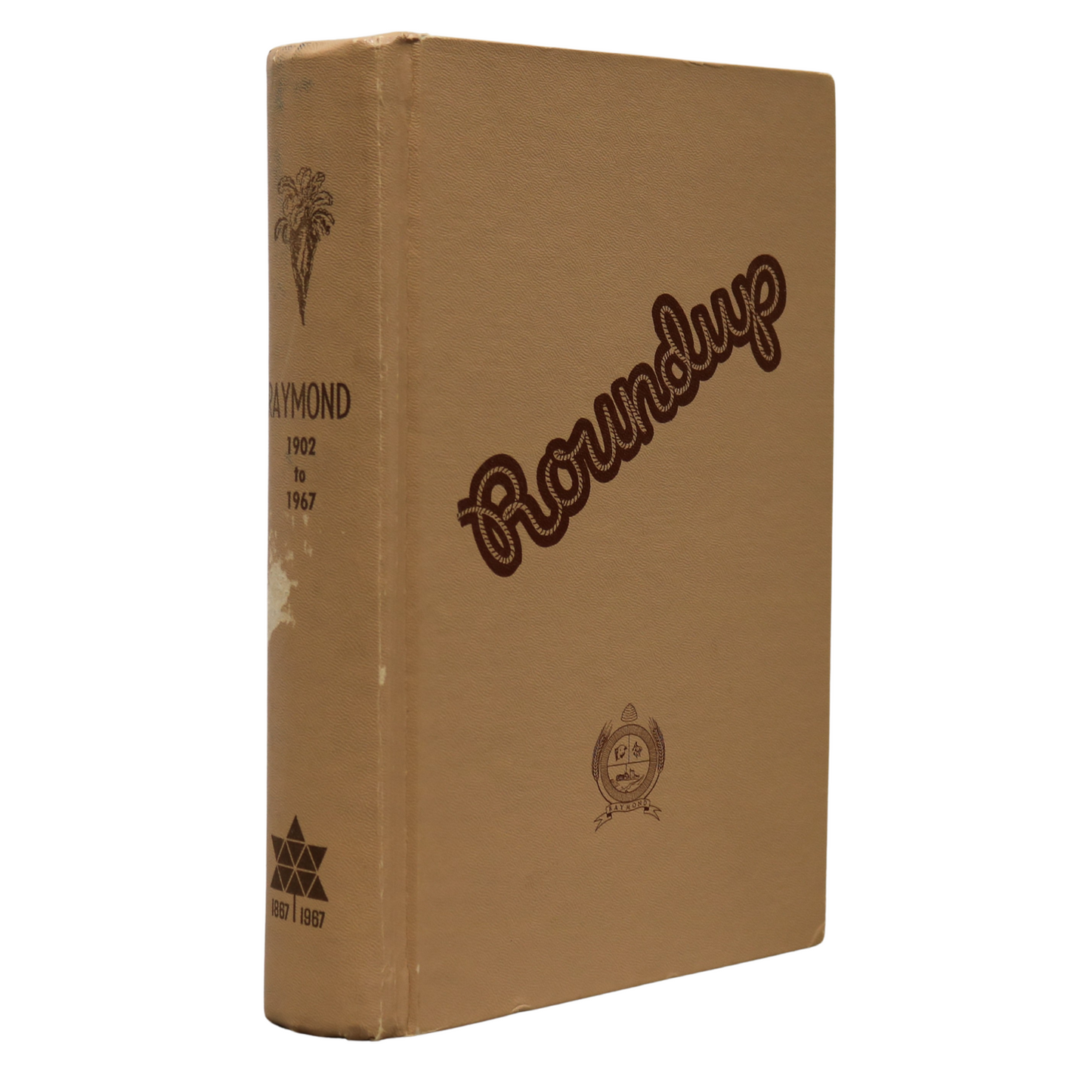 Roundup Raymond Alberta Canada Canadian Community Local History Used Book