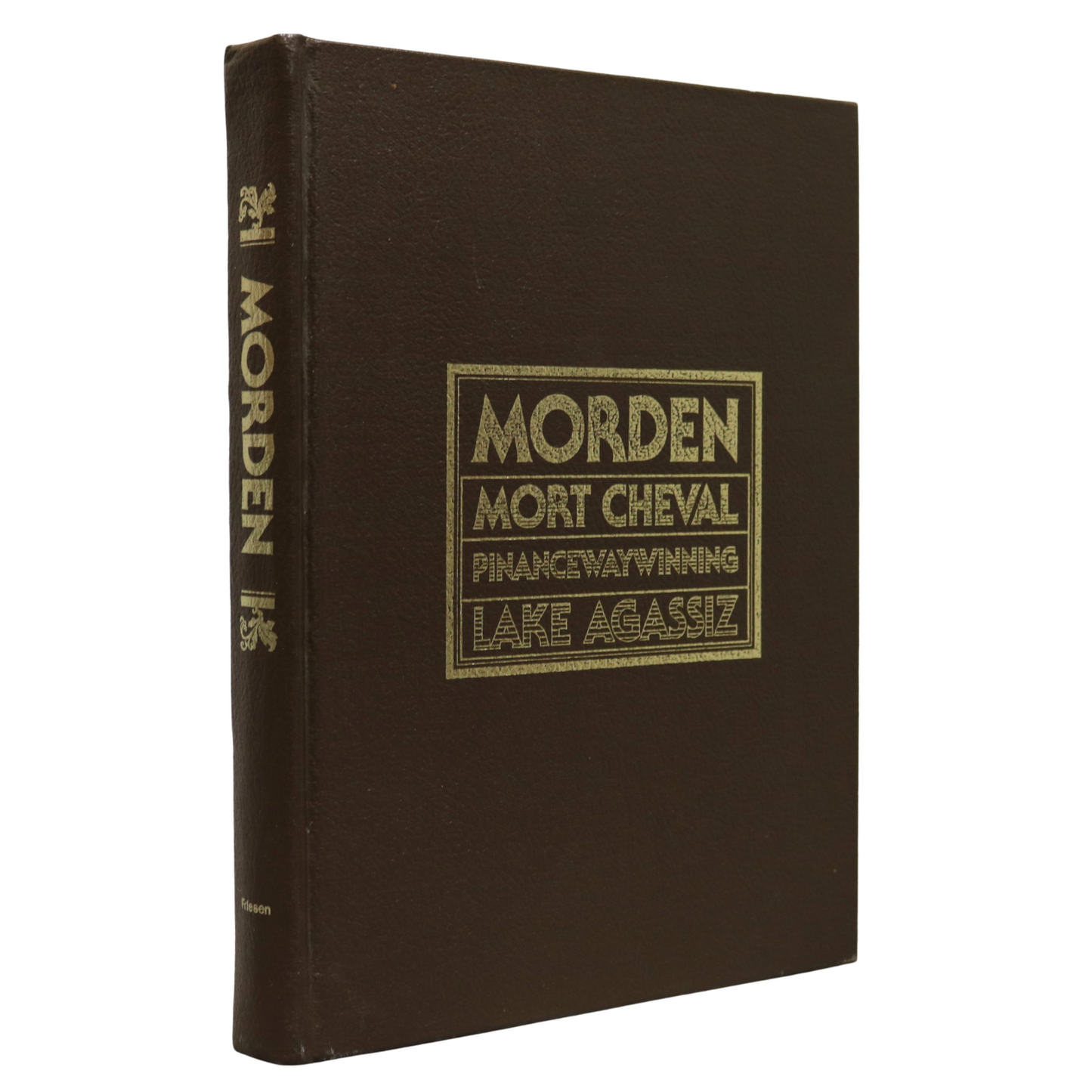 Morden Lake Agassiz Manitoba Canada Canadian Local Pictorial History Used Book