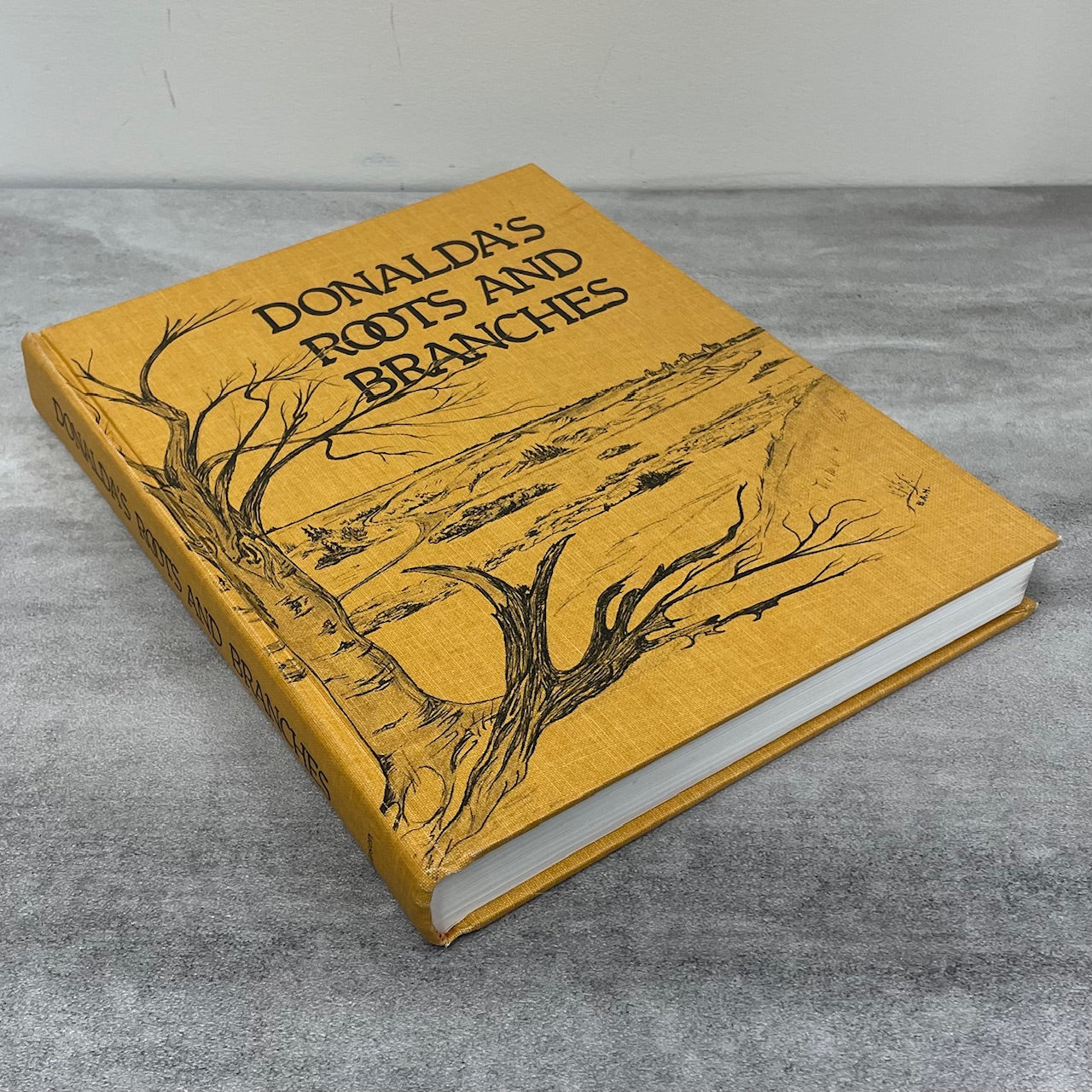 Donalda Roots and Branches Alberta Canada Canadian Community History Book