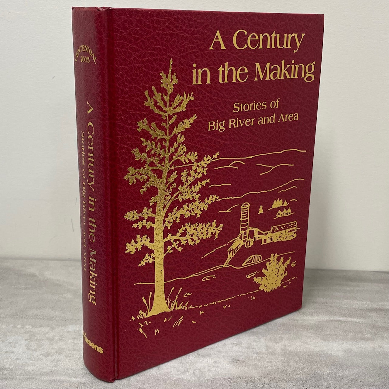Century Making Big River Saskatchewan Canada Canadian Local History Used Book