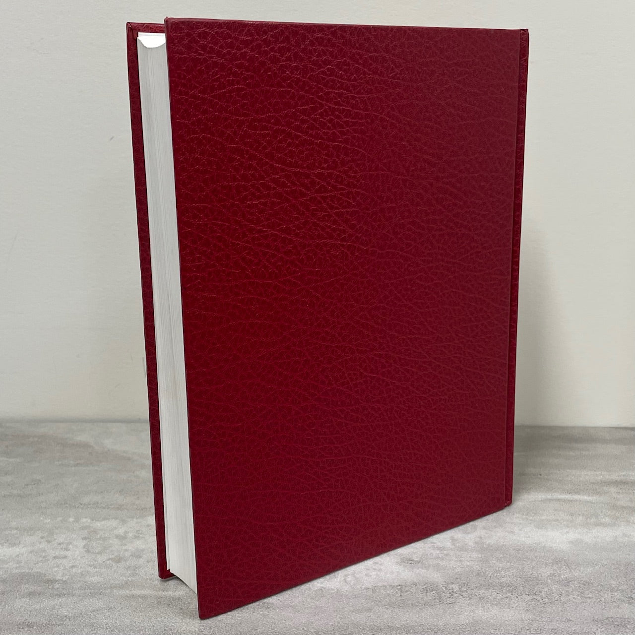 Century Making Big River Saskatchewan Canada Canadian Local History Used Book